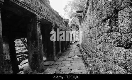 Corridoio di vuoti tra antiche colonne con diminuzione prospettiva, nell'antico tempio di Angkor Wat, Siem Reap, Cambogia. Foto Stock