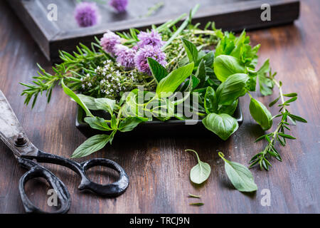 Mazzetto di erbe diverse per la cottura su sfondo di legno Foto Stock