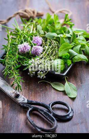 Mazzetto di erbe diverse per la cottura su sfondo di legno Foto Stock