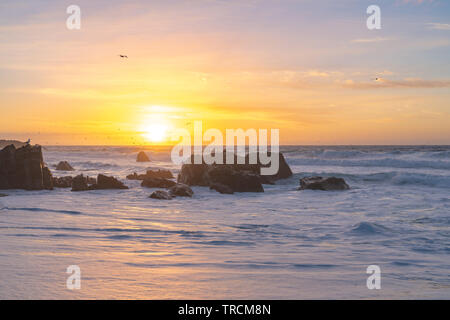 Tramonto lungo una spiaggia sabbiosa Big Sur, California spiaggia con grandi onde laminazione come volano gli uccelli overhead. Foto Stock