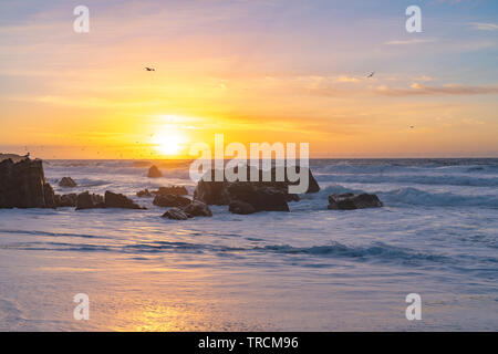 Tramonto lungo una spiaggia sabbiosa Big Sur, California spiaggia con grandi onde laminazione come volano gli uccelli overhead. Foto Stock