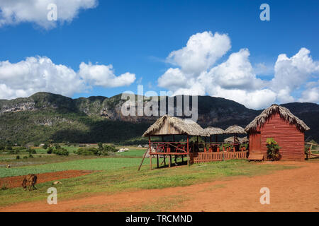 Cafe con una grande terrazza nella famosa destinazione turistica e Patrimonio UNESCO Vinales Valley, Pinar Del Rio, Cuba Foto Stock