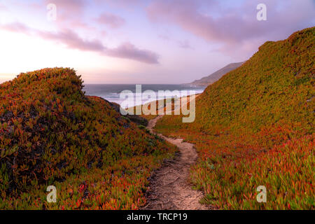 Vista tramonto a Calla Lily Valley vicino a Big Sur, California. Foto Stock