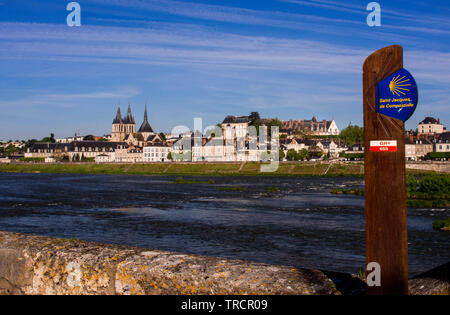La Loira e la città di Blois Camino di Santiago de Compostela, Loir-et-Cher reparto, Center-Val de la Loire, in Francia, in Europa Foto Stock