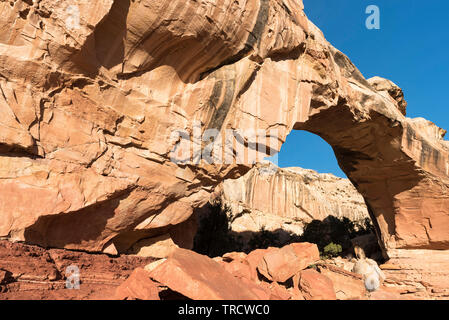 Hickman Bridge è un famoso punto di riferimento naturale situato all'interno di Capital Reef National Park nello Utah. Foto Stock