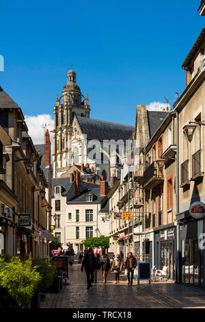 98/5000 della vista della città di Blois e Cattedrale di San Louis. Blois. Loir-et-Cher. La Valle della Loira. La France. Foto Stock