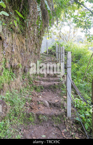 Sentiero escursionistico al Catarata Del Toro Park, in Costa Rica Foto Stock