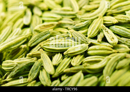 Chiudere l immagine di una sana di semi di finocchio o Saunf indiano digestivi tradizionali alimenti e bocca freshner Foto Stock