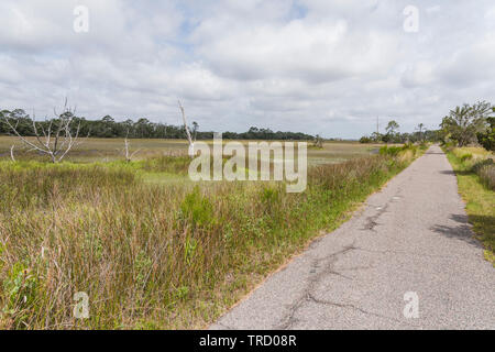 Jekyll Island Pista Ciclabile Brunswick GEORGIA, STATI UNITI D'AMERICA Foto Stock