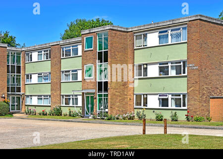 Esterno piccolo blocco di tipo piana appartamento case in muratura di proprietà di alloggiamento con finestra a pannelli di riempimento & central scala d'ingresso Essex England Regno Unito Foto Stock