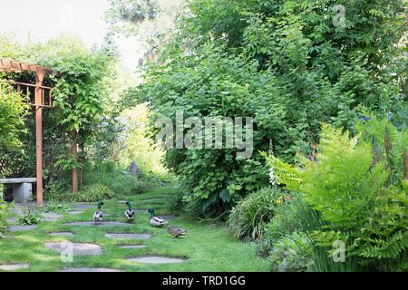 La Martha Springer Giardino Botanico del campus della Willamette University di Salem, Oregon, Stati Uniti d'America. Foto Stock