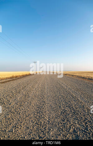 Farm road nel Montana Foto Stock