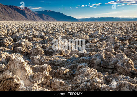 Pinnacoli di sale sul Devil's Campo da Golf, il Parco Nazionale della Valle della Morte, California USA Foto Stock