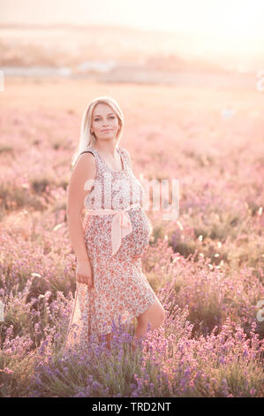 Bionda sorridente donna incinta indossando abiti eleganti in piedi nel campo di lavanda. Guardando alla fotocamera. La maternità. La maternità. 20s. Foto Stock