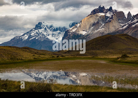 Cartello stradale per Lago Pehoe con montagne panoramiche in background, Torres del Paine, Patagonia, Cile Foto Stock