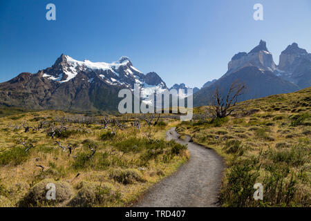 Percorso vuoto per visualizzare Los Cuernos in Torres del Paine, Patagonia, Cile Foto Stock