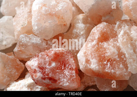 Una chiusura di Rosa himalayano sale di roccia Foto Stock