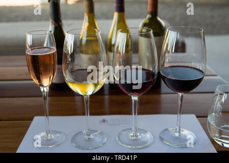 Degustazione di vino a Mendoza, Argentina Foto Stock