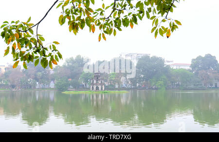 Albero in bud al lago Hoan Kiem nella capitale Hanoi, Vietnam con torre di tartaruga. Si tratta di una antica architettura conservata fino ad oggi Foto Stock