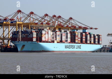 Il contenitore di Madrid nave Maersk sarà caricato e scaricato il 16 aprile 2019 a Bremerhaven. Foto Stock