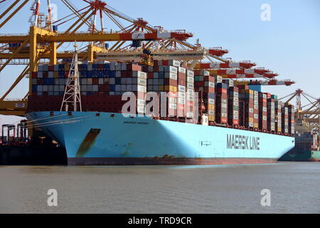 Il contenitore di Madrid nave Maersk sarà caricato e scaricato il 16 aprile 2019 a Bremerhaven. Foto Stock