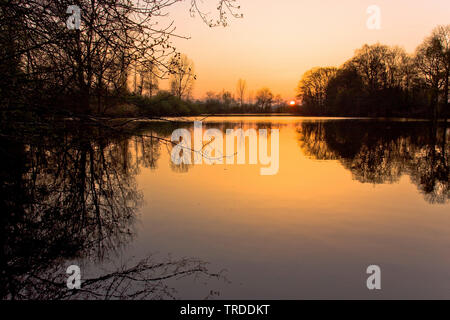 Uiterwaarden Vecht en Zwarte acqua, Paesi Bassi Overijssel Foto Stock