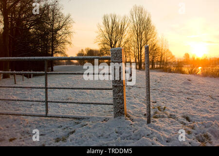 Uiterwaarden Vecht en Zwarte acqua, Paesi Bassi Overijssel Foto Stock