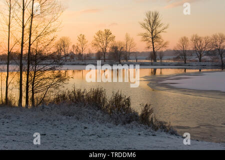 Uiterwaarden Vecht en Zwarte acqua, Paesi Bassi Overijssel Foto Stock