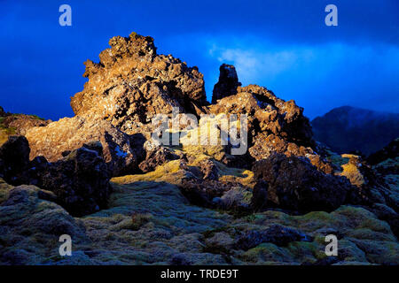 Campo di lava Berserkjahraun, Islanda, Vesturland, Snaefellsnes Foto Stock