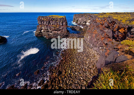 Volcanic costa rocciosa, Islanda, Vesturland, Snaefellsnes, Hvalrauf Foto Stock