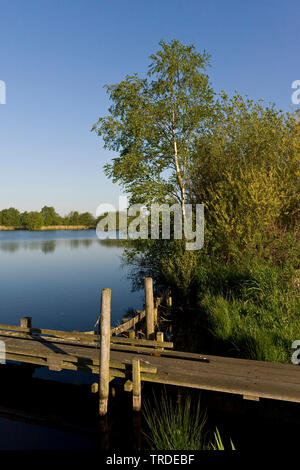 Pontile a lago, Paesi Bassi, Frisia, Rottige Meente Foto Stock