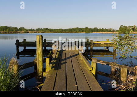 Pontile a lago, Paesi Bassi, Frisia, Rottige Meente Foto Stock