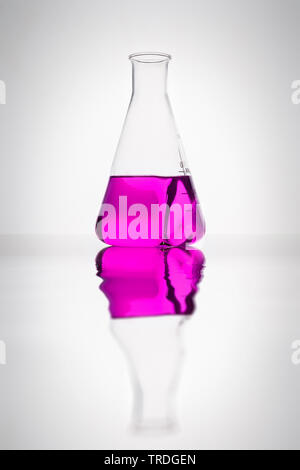 Matraccio di Erlenmeyer riempito con liquido viola contro uno sfondo bianco Foto Stock