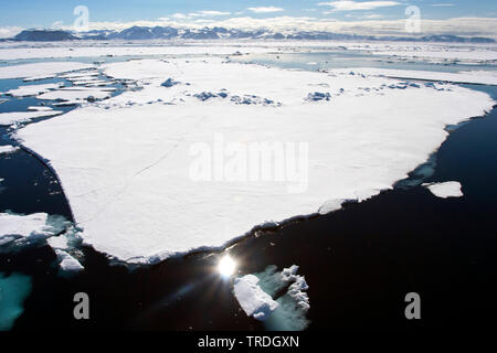 Ice floes sul mare, Norvegia Isole Svalbard Foto Stock