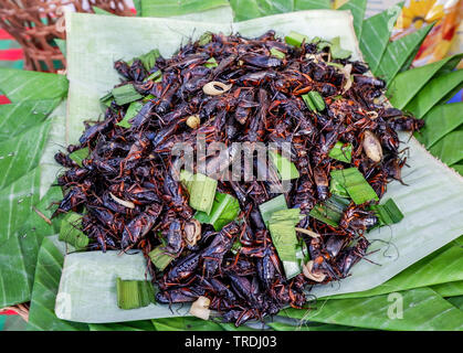 Cricket fritto con pandan sulla banana leaf background / jumping cricket insetti per uno snack al cibo di strada in Thailandia asian Foto Stock