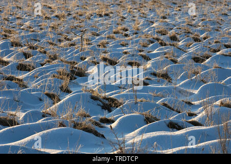 Coperte di neve mucchi in un prato, Giappone, Hokkaido Foto Stock