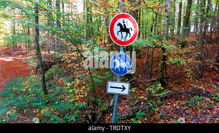 Bridlepath in una foresta, Germania Foto Stock