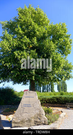 Il centro della Germania, Thueringen Foto Stock