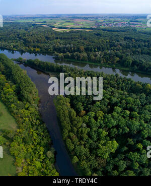 Il legno in corrispondenza della bocca di Lech in fiume Danubio, Germania, il Land della Baviera e della Svevia Foto Stock