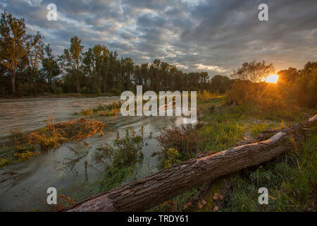 Riserva naturale Mittlere Isarauen tra Moosburg e Hangenham al tramonto, in Germania, in Baviera Foto Stock