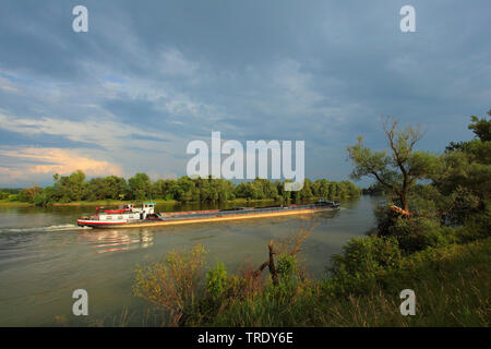 Freighter sul Danubio a Muehlham, in Germania, in Baviera, Niederbayern, Bassa Baviera Foto Stock