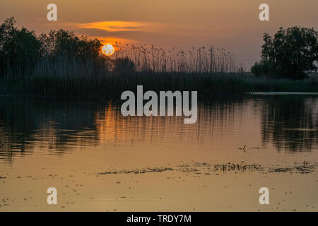 Il delta del Danubio al tramonto, Romania, Biosphaerenreservat Donaudelta Foto Stock