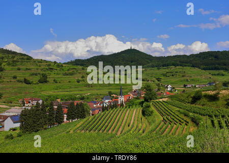 Villaggio vitivinicola nella regione Kaiserstuhl, GERMANIA Baden-Wuerttemberg, Bickensohl Foto Stock