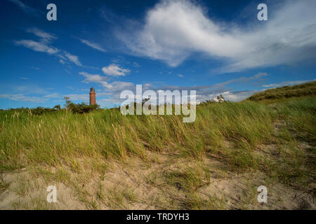 Costa Ovest e faro Darsser Ort, Germania, Meclemburgo-Pomerania, Western Pomerania Area Laguna Parco Nazionale Foto Stock