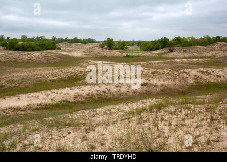 Le dune di sabbia di Letea nel delta del Danubio, Romania, Biosphaerenreservat Donaudelta Foto Stock