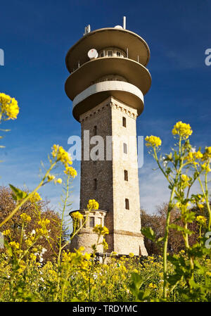 Longino torre sulla collina Westerberg, Baumberge, in Germania, in Renania settentrionale-Vestfalia, Muensterland, Nottuln Foto Stock