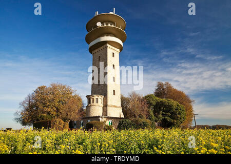 Longino torre sulla collina Westerberg, Baumberge, in Germania, in Renania settentrionale-Vestfalia, Muensterland, Nottuln Foto Stock