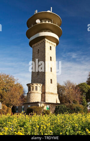 Longino torre sulla collina Westerberg, Baumberge, in Germania, in Renania settentrionale-Vestfalia, Muensterland, Nottuln Foto Stock