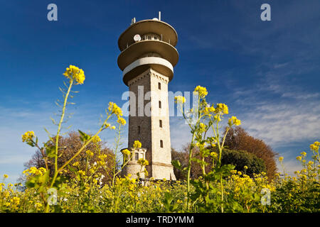 Longino torre sulla collina Westerberg, Baumberge, in Germania, in Renania settentrionale-Vestfalia, Muensterland, Nottuln Foto Stock