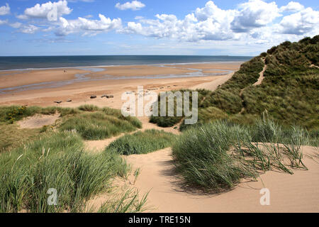 Dune di Alnmouth, Regno Unito, Inghilterra, Northumberland Foto Stock